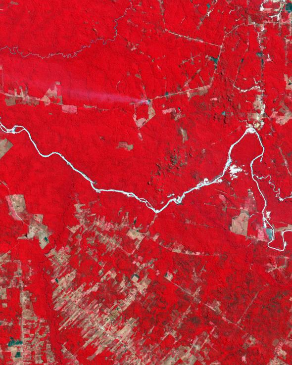 brazils-mato-grosso-1992-vegetation-in-red