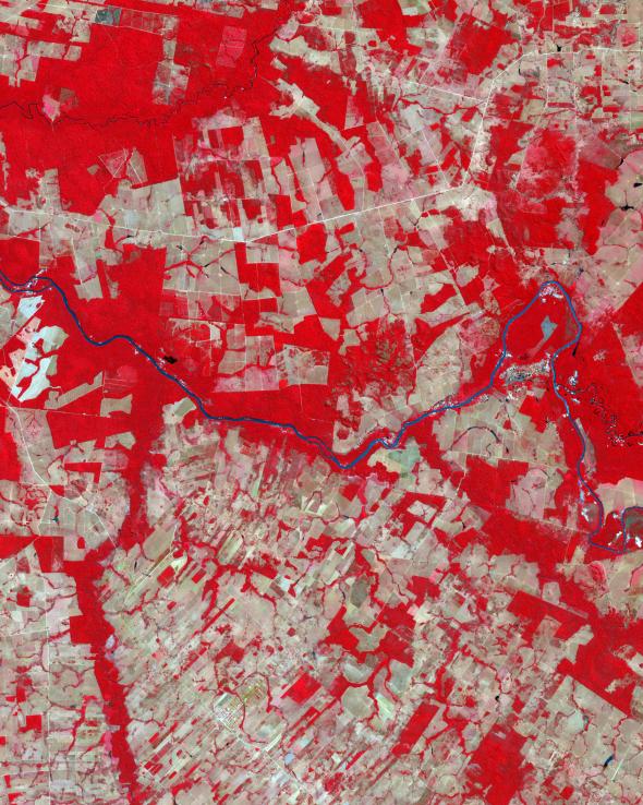 brazils-mato-grosso-2006-vegetation-in-red