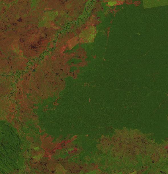indonesias-sumatra-island-2001-forest-in-green-cleared-land-in-red
